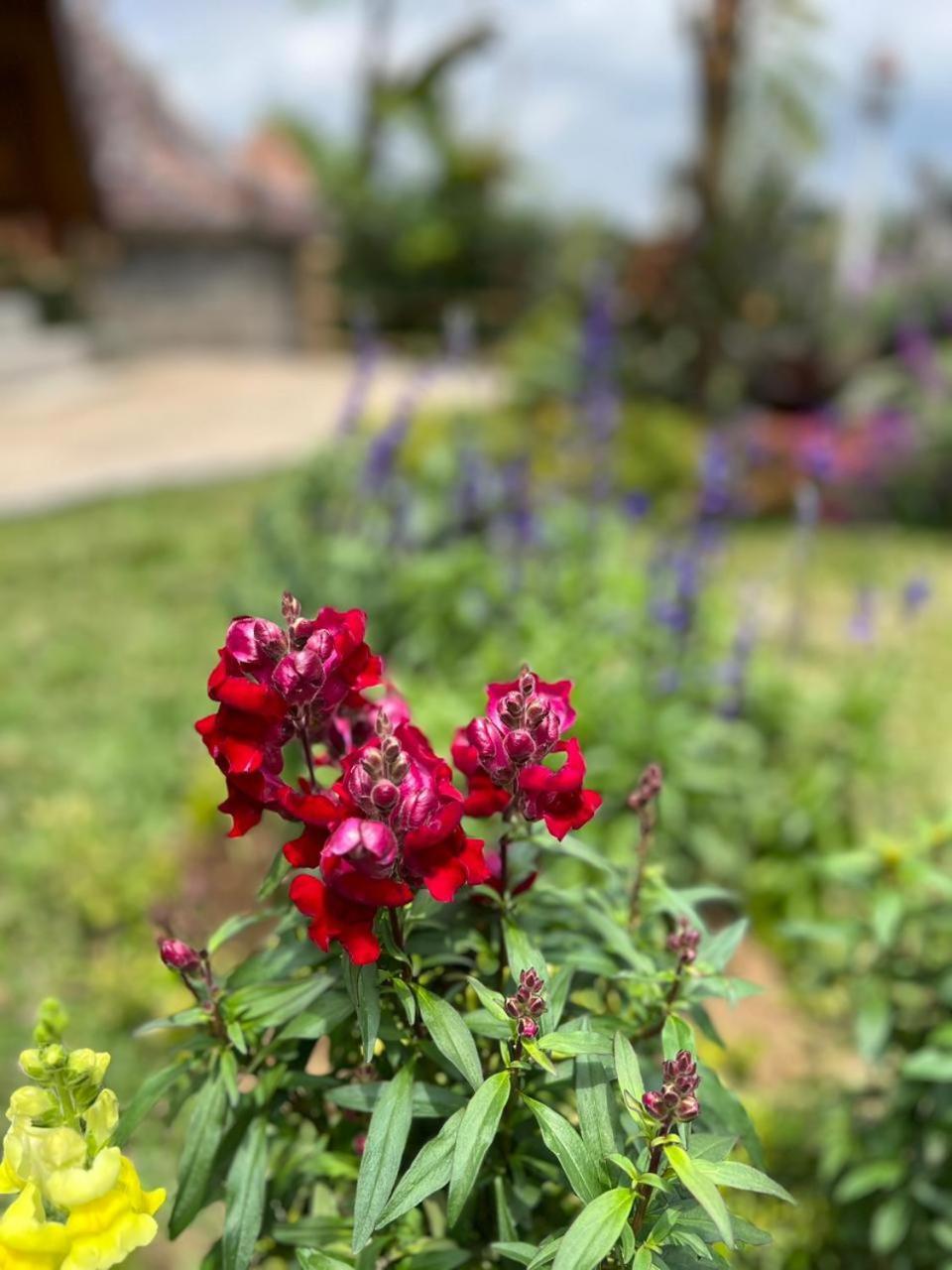 Navalia Villa Bedugul Εξωτερικό φωτογραφία